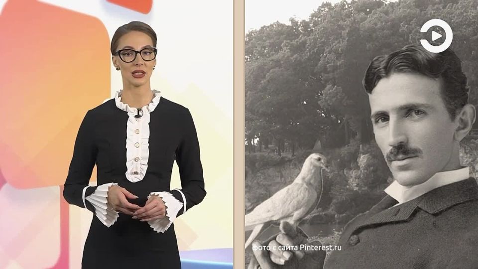 ������ ����� - ���������� ������������, ����������� ���� �����