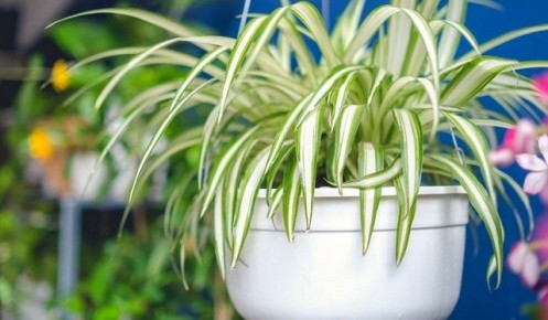 �������� ������ � ���� �����: 10 �������� ��� ������� �������