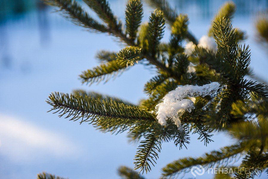 �� ����� ���� 17 ������ ��������� �� -17 ��������