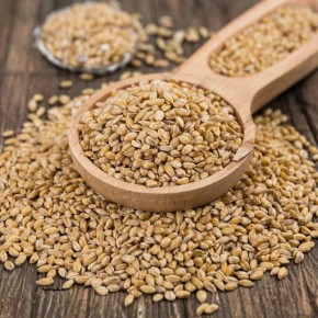 ��� ������� ��������� ����� ��� ���������: ��������� ���������� ���������