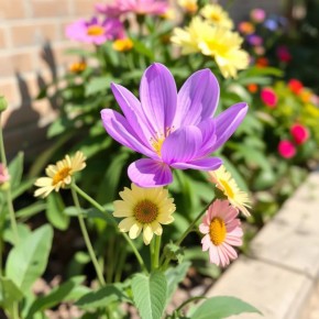 ��� ������� ��������� ���� � ����� ����: ������� ��������� ������