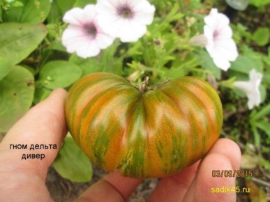 ����� ������ �����: ��� ���� ���� �������� ������ �����������