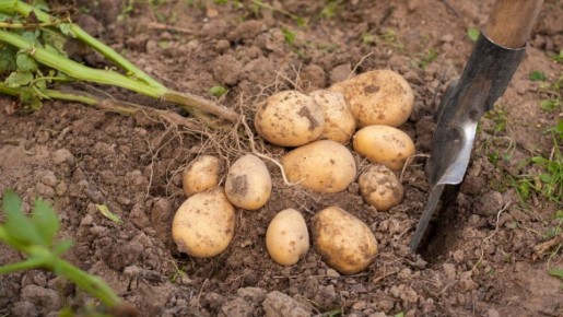 ��� ��������������� ������ ���������: ��� ��������� ������