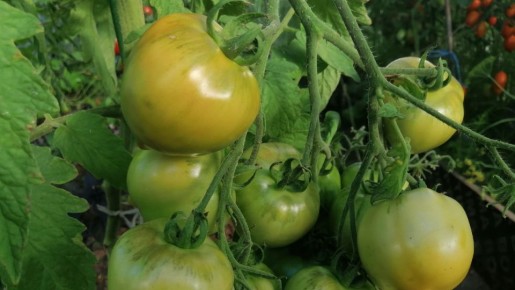 ��� ������ � ����� �� �������� ��������� ��� � ���������� �������