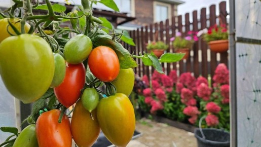 ��� �������� ���������: ������� ������� ��� ��������� ������