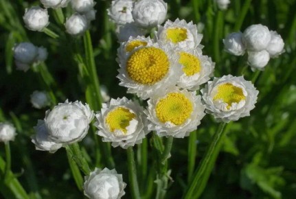 10 ���������� ������������, ������� ����� �������� � ���� ������