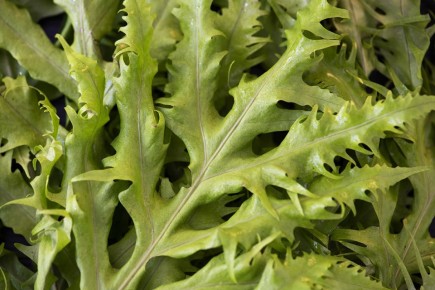 ������ �������� ������ ������ ����� ������ ������ �������