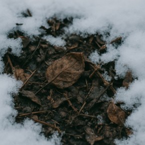 Секреты подготовки грядок под снегом для весеннего успеха