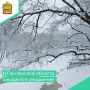 По информации Пензенского гидрометцентра аномально-холодная погода со среднесуточной температурой воздуха ниже климатической нормы на 9°С и более ожидается в Пензенской области в период с 23 по 27 января 2026 года