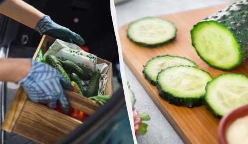 Секрет свежести: как огурцы остаются хрустящими дольше