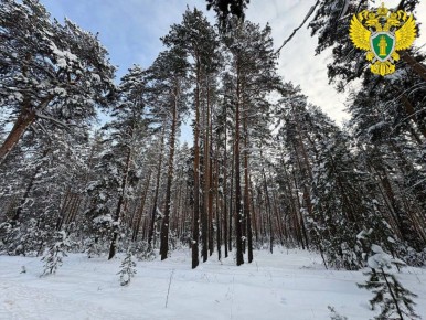 "� ��� ���������� �����, ���������