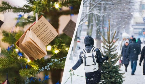 пора убирать елку: когда прощаться с новогодними традициями