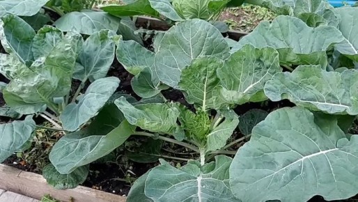 ��� ��������� �������� ������ ������� � ������� ��� ������� �������