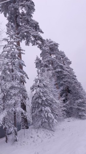 ����� ��� ��� �������: ��� ������� ������� �� �����