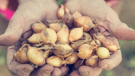 ��� �������� �������� ����� � �������� ������� � ������� ������������ ������