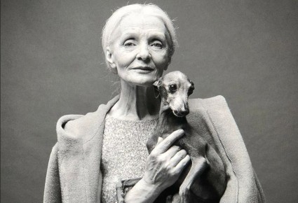 13 ���������, �������������� ������ ����� �� ������ �����