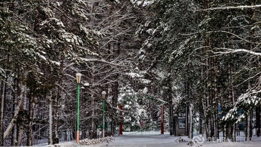 В Пензе днем 27 января ожидается до -16 градусов