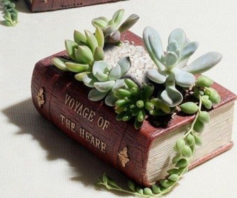 Оригинальные вазоны из обычных предметов для зелени дома