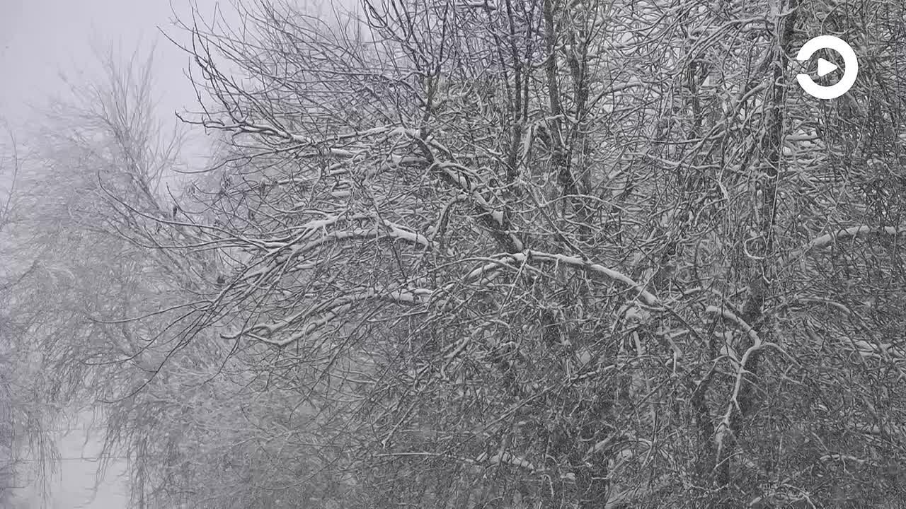 Губернатор Олег Мельниченко поручил начать подготовку к весеннему паводку