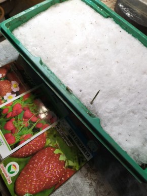 ��� �������� ���� � ����� �� �����������: ������ �� ����� � ������������ ���������