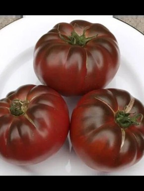 Томат Тайсон: спокойное руководство по урожайному сорту для теплиц и открытого грунта