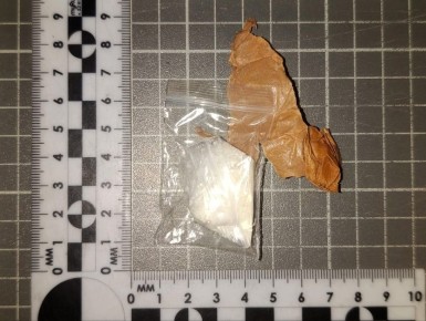 Транспортные полицейские изъяли у пензенца наркотическое средство