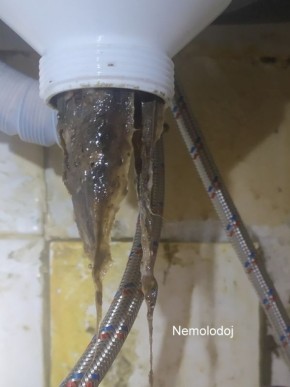 ��� � �������� ����� � ������ � �� �������� �������