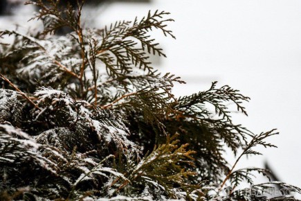 В Пензе днем 28 января ожидается до -9 градусов