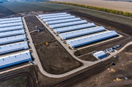 � ���������� ������� ����������� ���������� ������������ �������