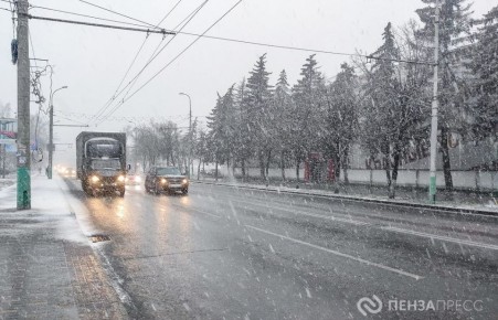 В Пензе 29 января ожидается до +1 градуса и мокрый снег