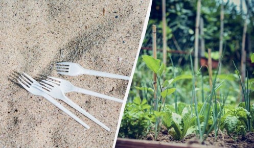 ������� �������� ��������: ����� ������� ����������� ����� � ������