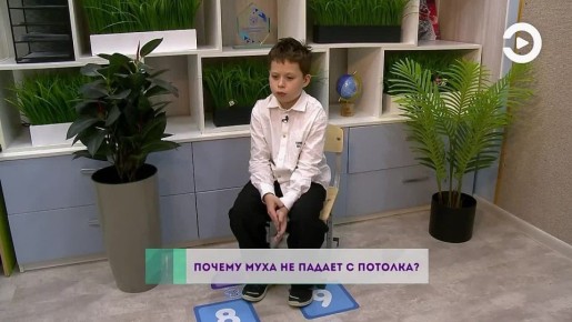 ������ ������ � ��� ���� ���� ������� ����� ���������� �������? ����� �������� �� �����, ���� ������� ����������