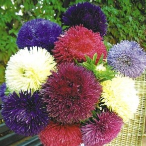 ��� ��������� ���������� �����: ������� ��������� ����� � �������