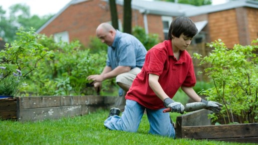 ������� ���������: ������� ������� �������� �������� �� ���� ������ ����������