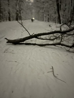 �������, 31 ������, �������� � 17:00 �� ����������� �����, � ����������� �����, �� ���������� ���� ����� ������, �������� ���� ������������