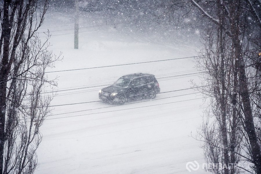 В Пензе 1 февраля ожидается сильный снег