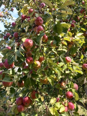 ��� �� ����� ������ ����� ������ �����