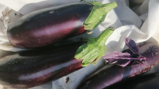 ��� ��������� ���������: ������� ��������� ��� ��������� ������