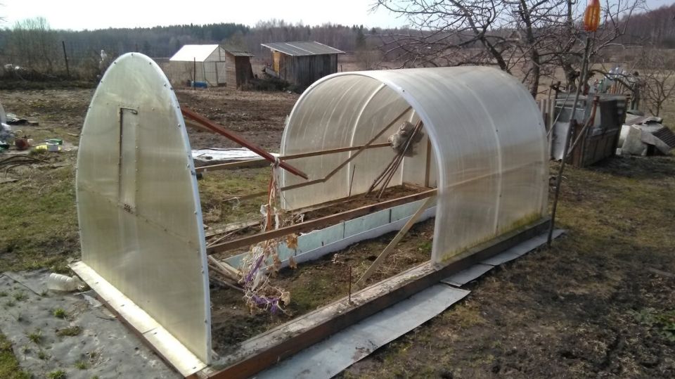 Как забыть о провалах с мини-теплицами: два простых метода для стабильного урожая