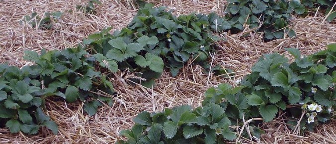 ��� �������� ����� � �������� ������ ��� �����: ������� ������� �������