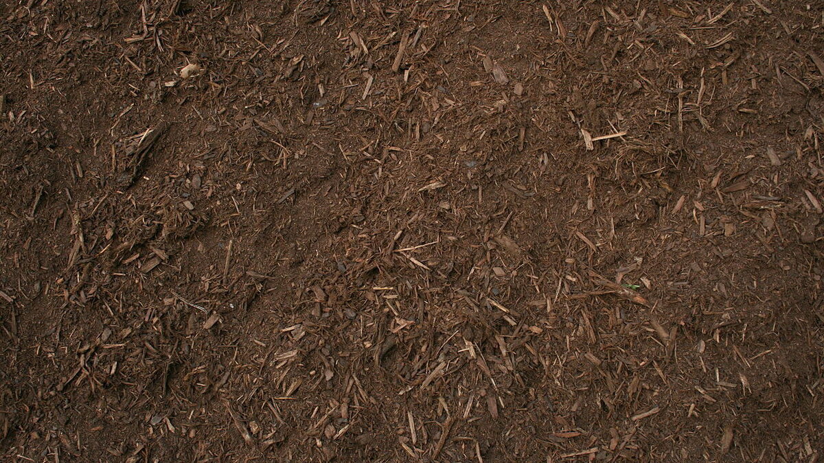 Торфяная земля: секреты успешного дачного выращивания