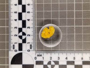 � ���������� ������� ������������ ����������� ��������� �� ��������������� �������� ����� ������ � ������������� ���������