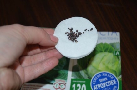 ��� ���� �������� �������� ������ ������ �������