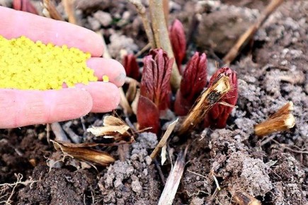 ��� ��������� ������������� �����: ������� ��� ������� ��������