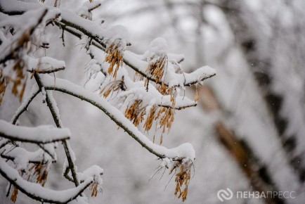 � ����� ���� 5 ������� ��������� �� -18 ��������