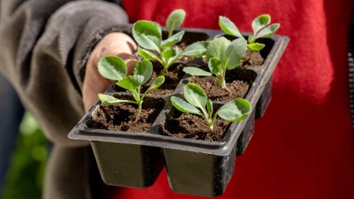 ��������� ������� ������� ������������: ������� ����� ���������� ��������