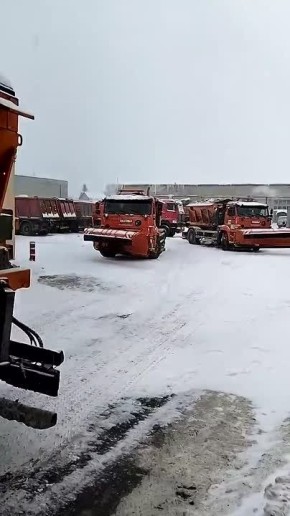 ���� �������: � ����������� ������� ��������� �������� �������