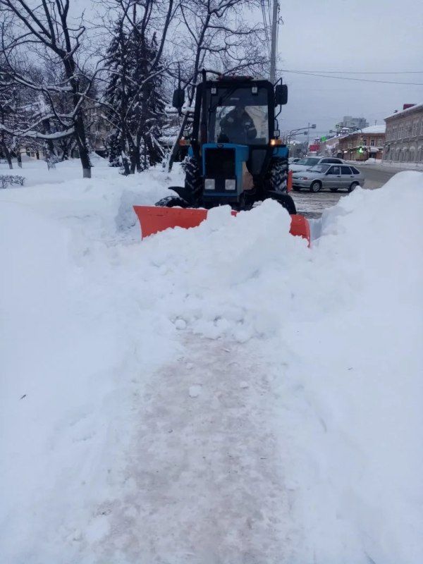 �� ������ � ��������� ���������� 113 ������ ������� ��� ������������