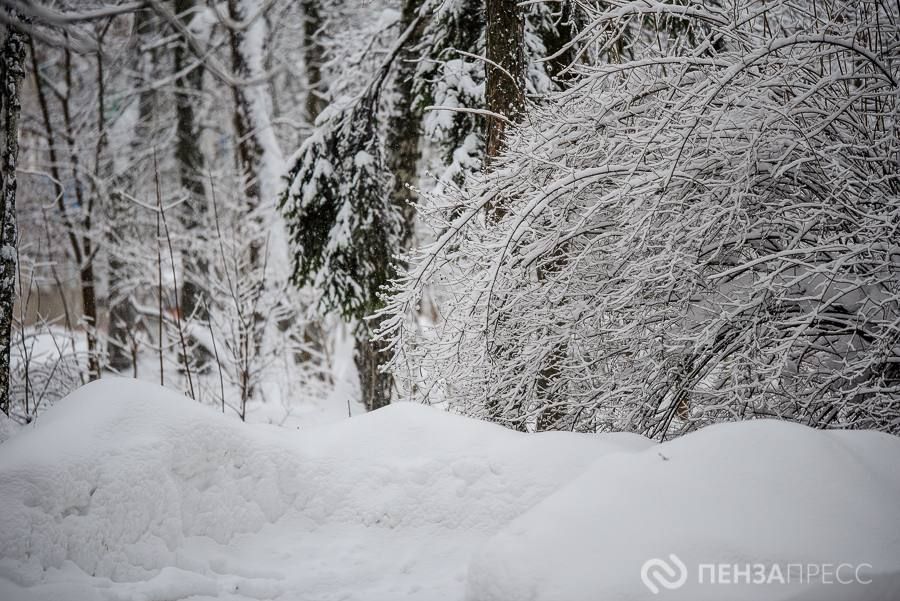 � ���������� �������������� ���������� � ������ �� ���������� ������� �� ����� ������� ������