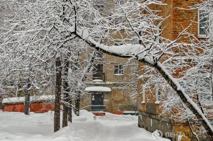 ����������� ������� ���������� ����������� ����������� �� ������ �������� 2025 ����